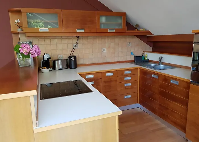 Fado Appartement Lendava